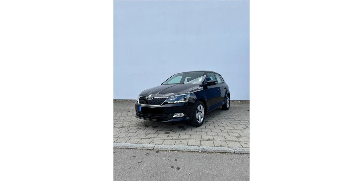 Skoda Fabia 114.500 km 8.300 &euro; Spaichingen 78549