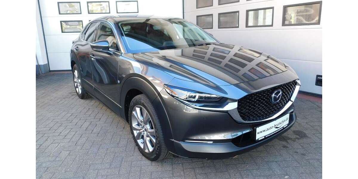 Mazda CX-30 71.100 km 19.690 &euro; Lenzkirch 79853