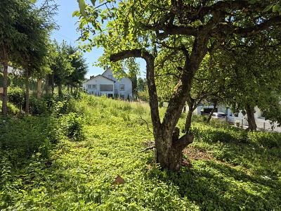 SONNIG & RUHIG MIT ERWEITERUNGSOPTION - Grundstück Tuttlingen | Angebot:27001589