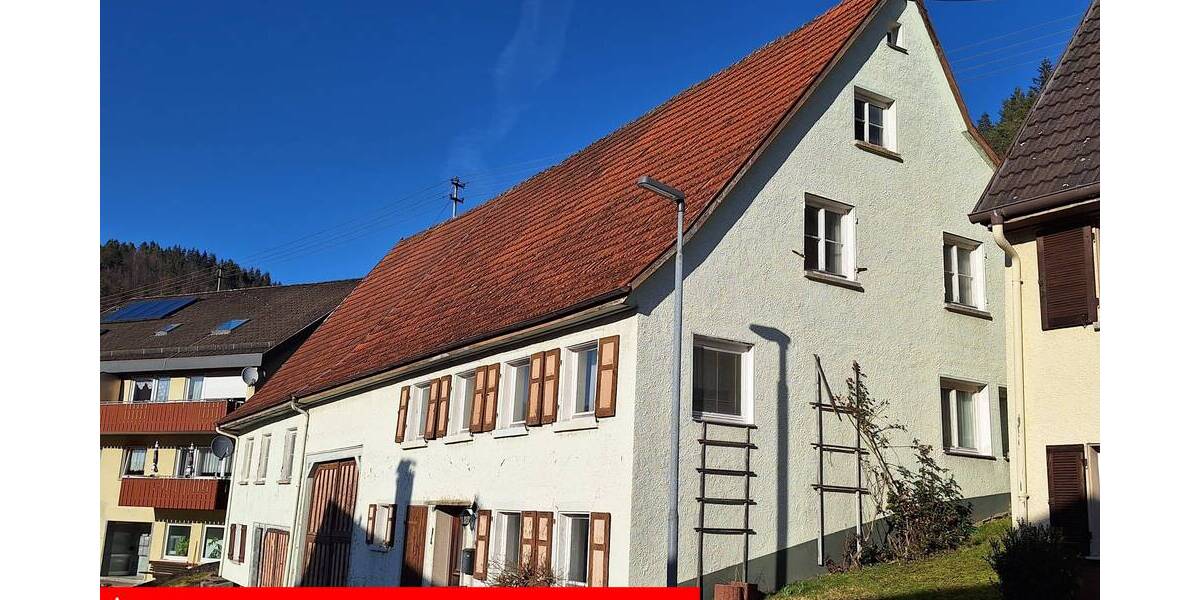 Bauernhaus, Landhaus Reichenbach - 9 Zimmer, 195 m&sup2;, 99.000&euro; | Angebot:25670856