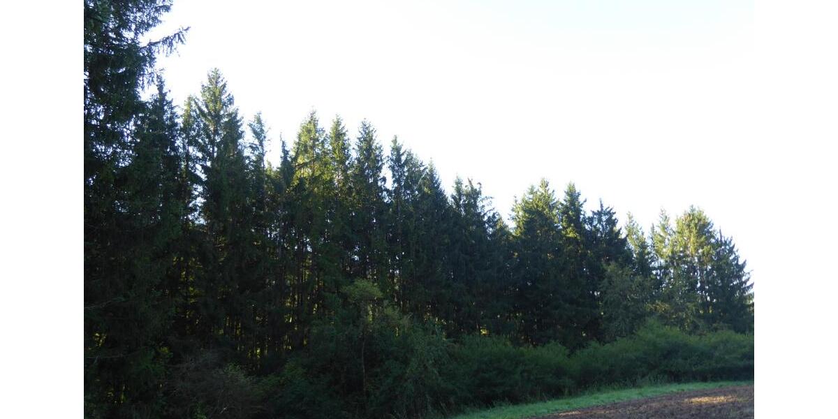 Mehrfamilienhaus, Wohnhaus Rottweil - 8 Zimmer, 249.000&euro; | Angebot:20810836