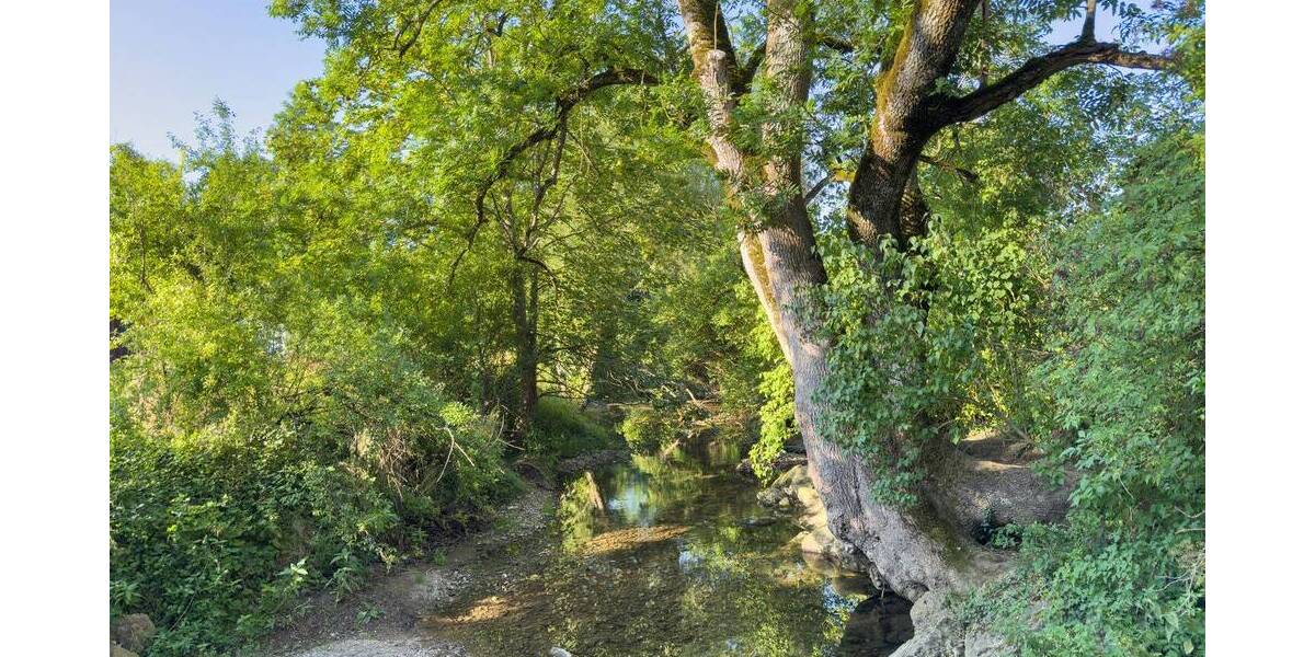 Mehrfamilienhaus, Wohnhaus Deißlingen - 7 Zimmer, 176 m&sup2;, 409.000&euro; | Angebot:25691602