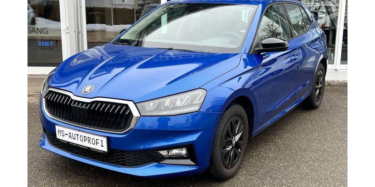 Skoda Fabia 27.301 km 16.900 &euro; Trossingen 78647