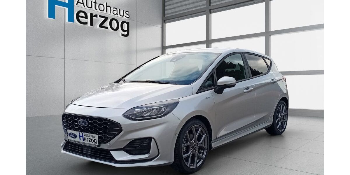 Ford Fiesta 18.000 km 17.990 &euro; Schramberg 78713