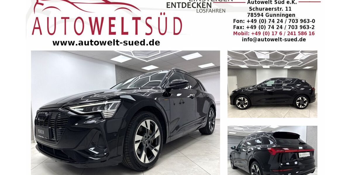 Audi e-tron 43.000 km 33.450 &euro; Gunningen 78594