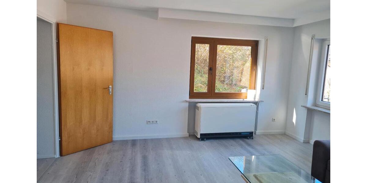 Etagenwohnung Schramberg - 2 Zimmer, 52 m&sup2;, 550&euro; | Angebot:25908016