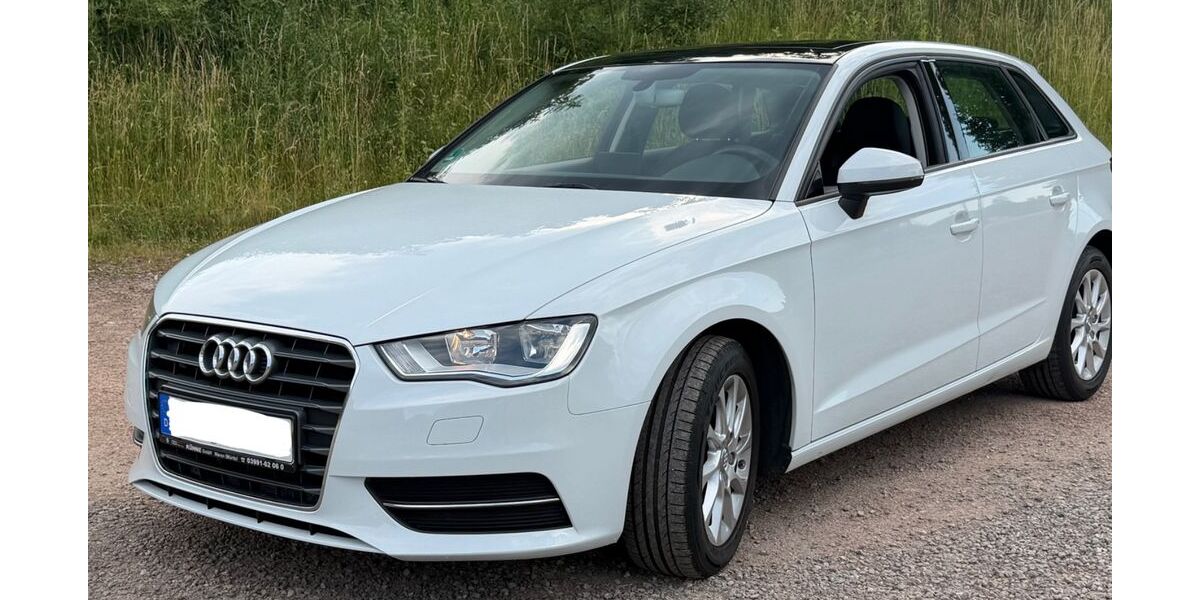 Audi A3 171.000 km 11.299 &euro; Titisee-Neustadt 79822