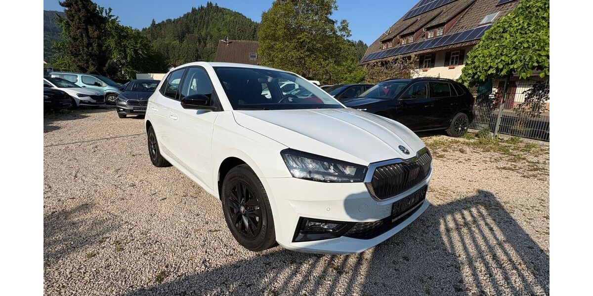 Skoda Fabia 20.800 km 17.200 &euro; Gutach 77793