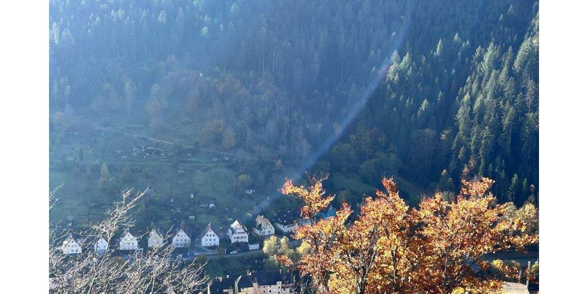 Einfamilienhaus Schramberg - 5 Zimmer, 155 m&sup2;, 295.000&euro; | Angebot:25682662