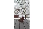 Etagenwohnung Schönwald im Schwarzwald - 1.5 Zimmer, 33 m&sup2;, 89.000&euro; | Angebot:26125805