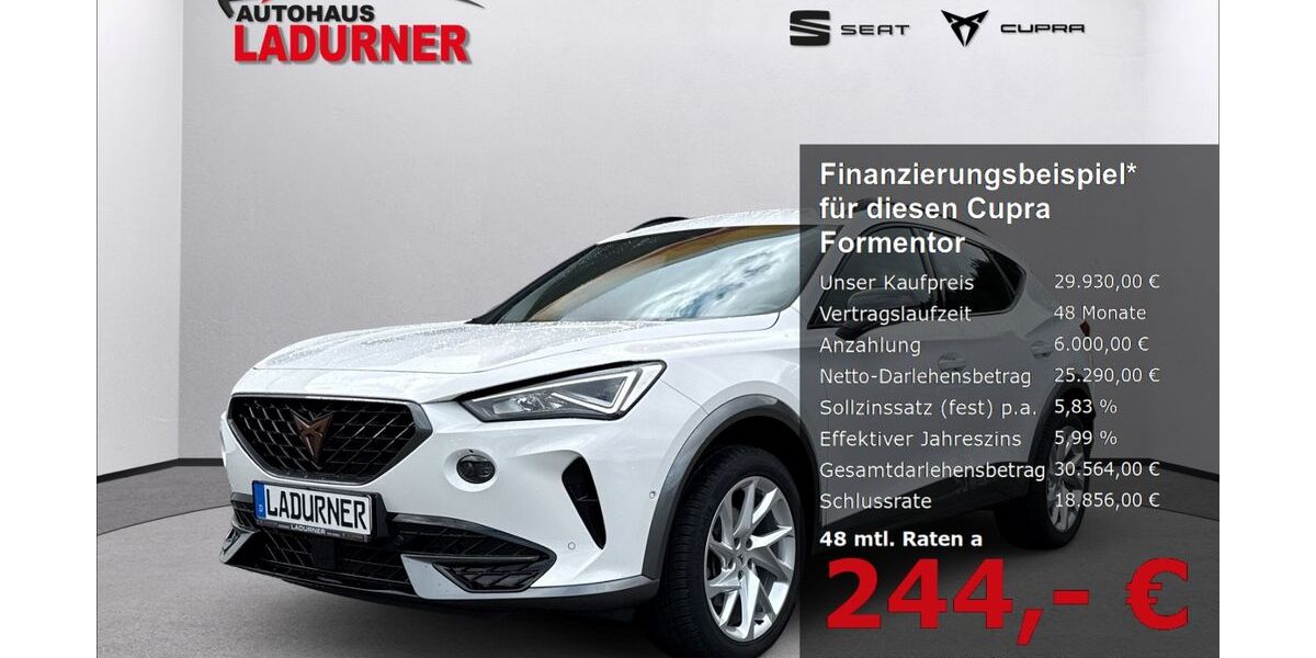 Cupra Formentor 41.200 km 29.930 &euro; Tuttlingen 78532
