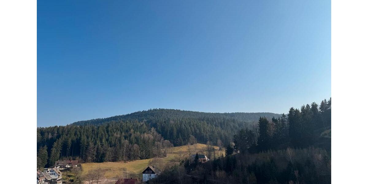 Erdgeschoßwohnung Lauterbach - 5 Zimmer, 110 m&sup2;, 710&euro; | Angebot:25844601