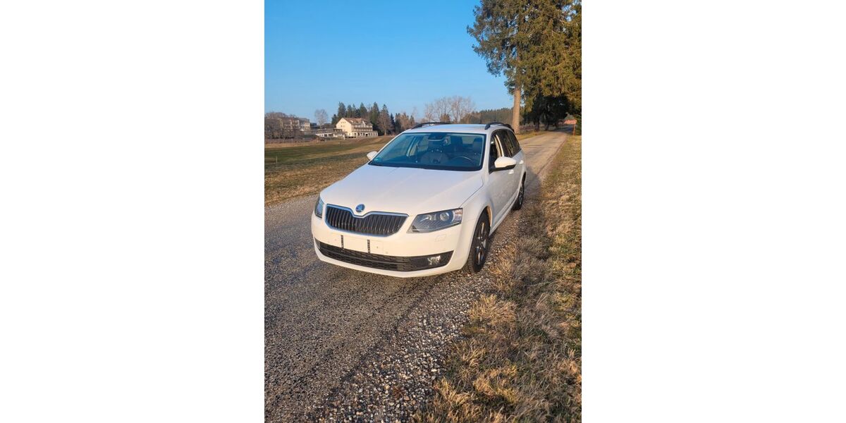 Skoda Octavia 220.000 km 8.300 &euro; Gütenbach 78148