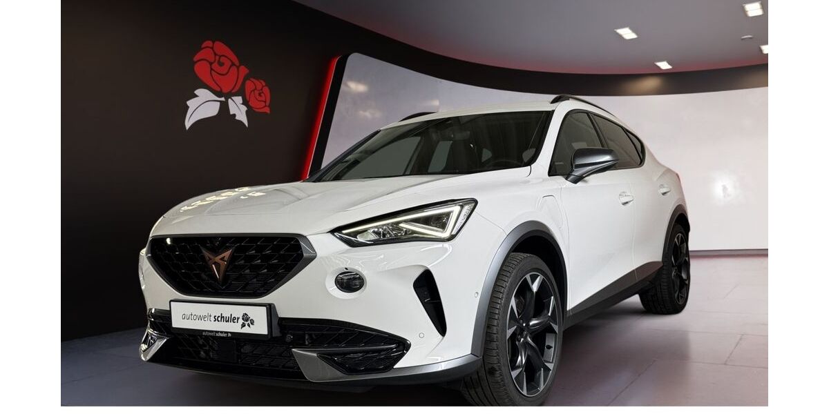 Cupra Formentor 69.100 km 26.480 &euro; Zimmern ob Rottweil 78658
