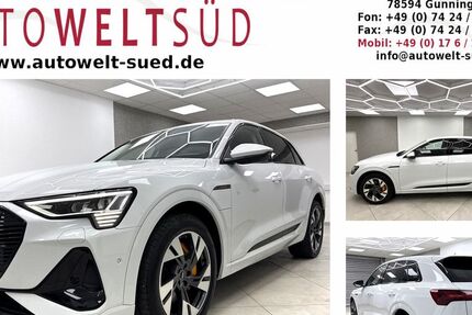 Audi e-tron 40.000 km 35.450 &euro; Gunningen 78594