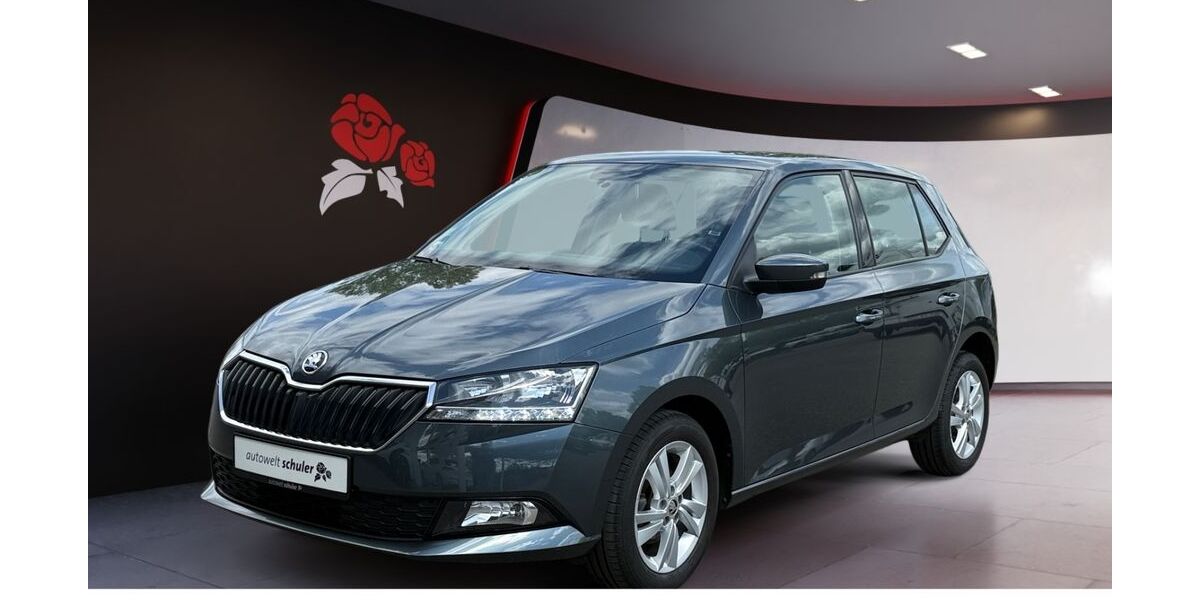 Skoda Fabia 30.700 km 12.949 &euro; Villingen-Schwenningen 78052