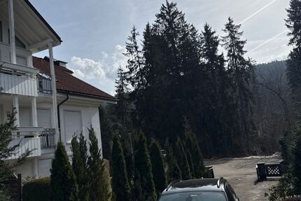 Renault Scenic 129.000 km 9.900 &euro; Titisee - Neustadt 79822