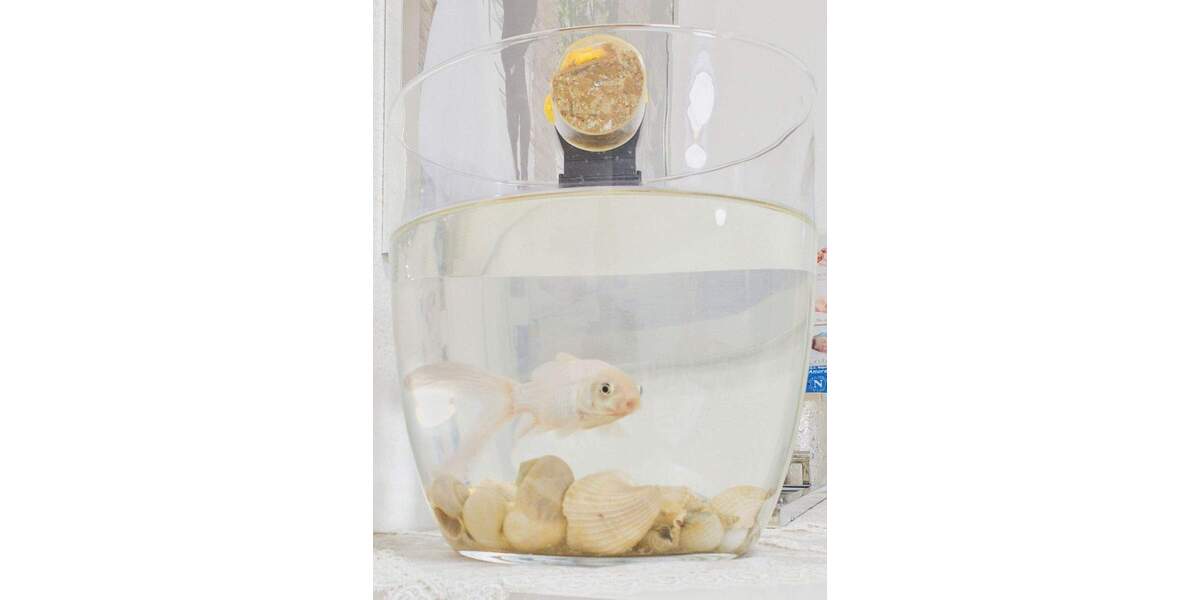 Etagenwohnung Immendingen - 5 Zimmer, 106 m&sup2;, 355.000&euro; | Angebot:25657117