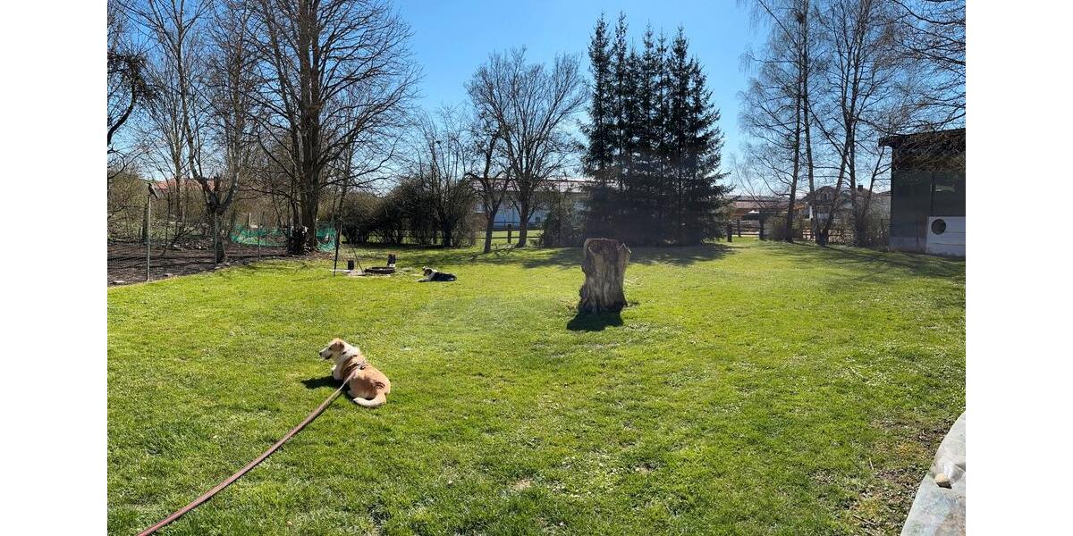 Mehrfamilienhaus, Wohnhaus Donaueschingen - 10 Zimmer, 400 m&sup2;, 1.275.000&euro; | Angebot:26036419