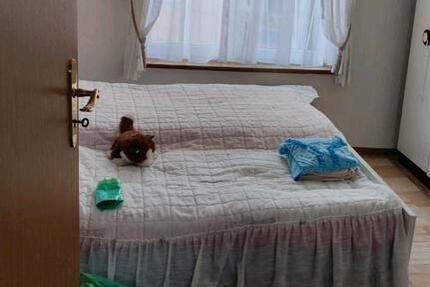 Wohnung Tuttlingen - 2 Zimmer, 43 m&sup2;, 650&euro; | Angebot:25941995