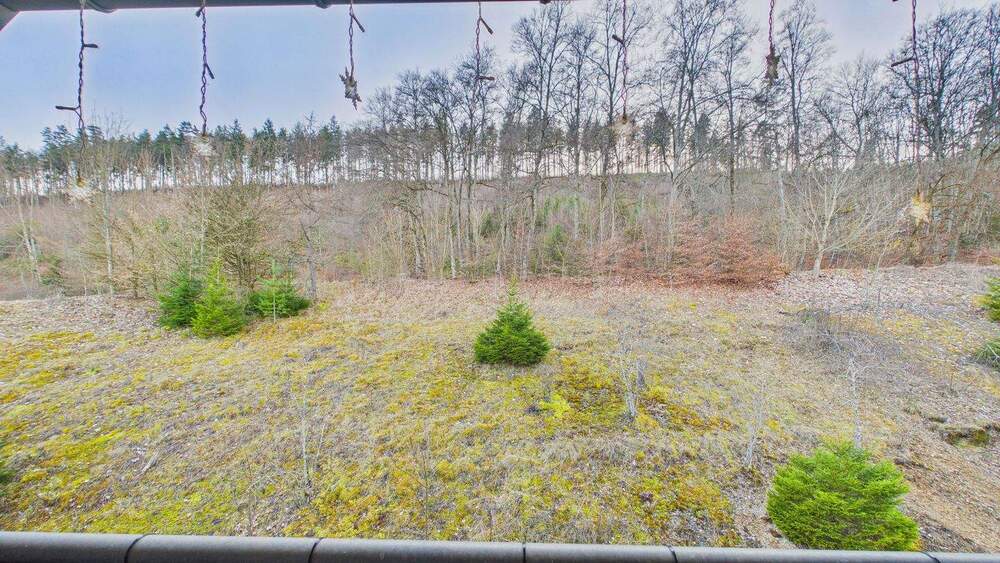 Etagenwohnung Immendingen - 5 Zimmer, 106 m&sup2;, 355.000&euro; | Angebot:25657117