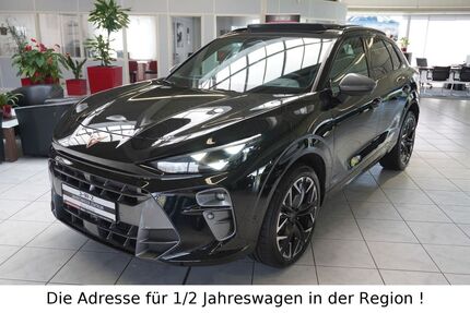 Cupra Terramar 11.000 km 40.990 &euro; Zimmern ob Rottweil 78658