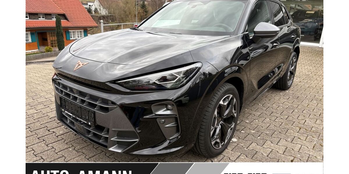 Cupra Terramar 3.700 km 41.995 &euro; Bonndorf-Wellendingen 79848