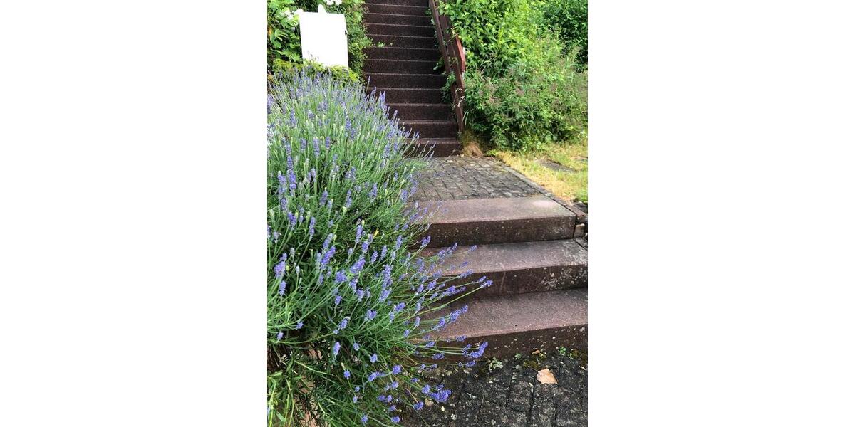 Einfamilienhaus Trossingen - 7 Zimmer, 209 m&sup2;, 699.000&euro; | Angebot:26811603