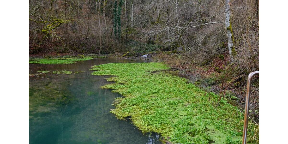 Einfamilienhaus Oberndorf am Neckar - 5 Zimmer, 156 m&sup2;, 1.499.000&euro; | Angebot:23902613