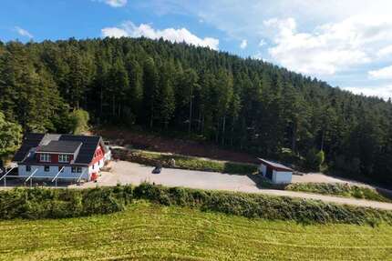 Gewerbeobjekt Schenkenzell - 1.300.000&euro; | Angebot:22989496