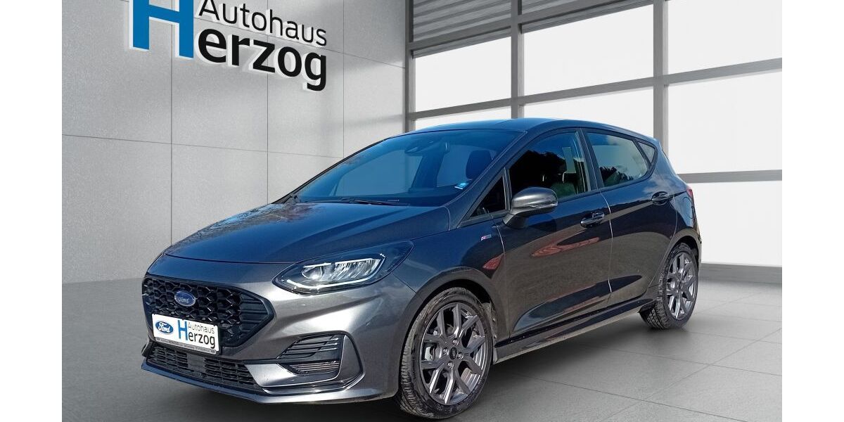 Ford Fiesta 20.800 km 18.490 &euro; Schramberg 78713