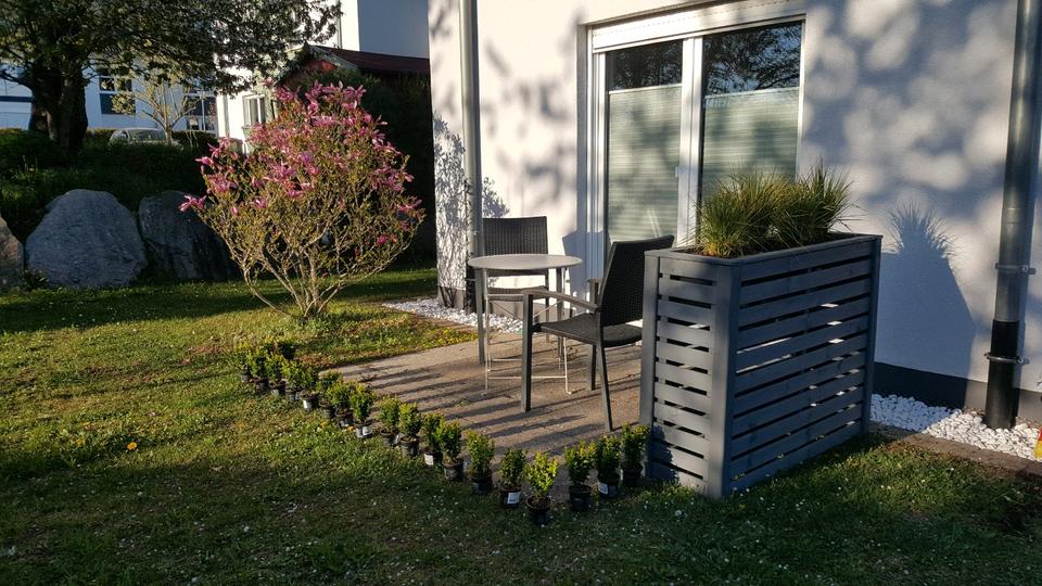 Erdgeschoßwohnung Villingen-Schwenningen Schwenningen - 1 Zimmer, 26 m&sup2;, 575&euro; | Angebot:26406607