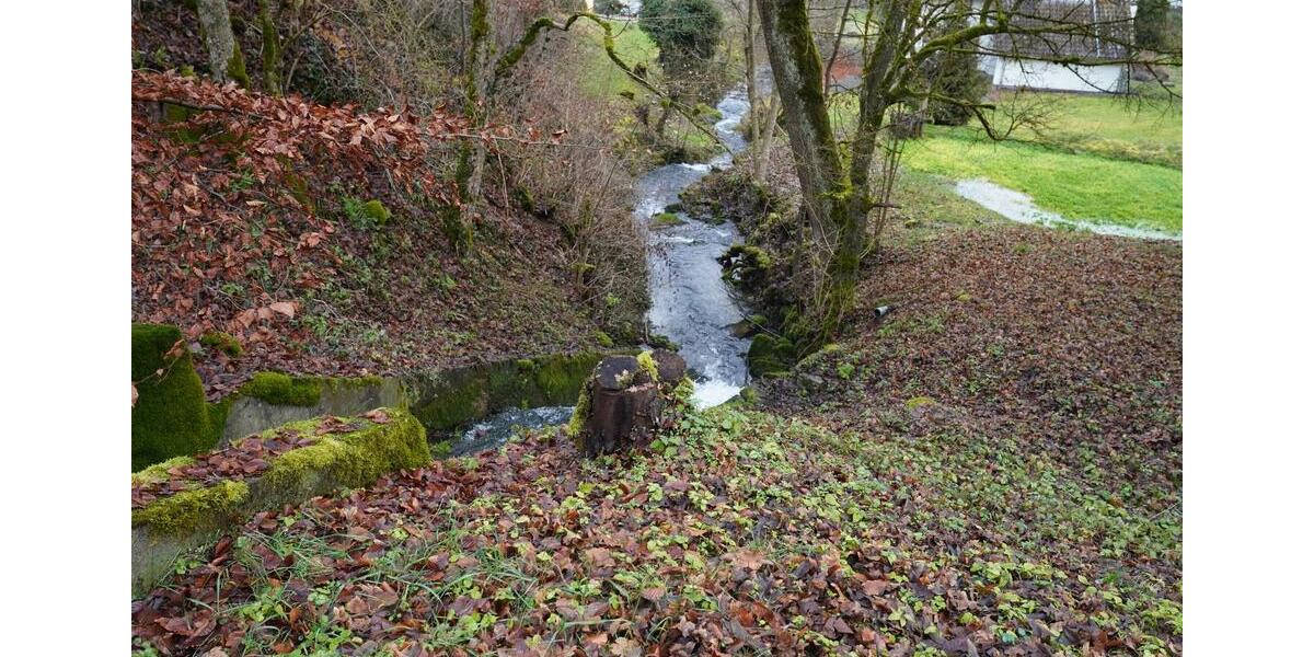 Einfamilienhaus Oberndorf am Neckar - 5 Zimmer, 156 m&sup2;, 1.499.000&euro; | Angebot:23902613