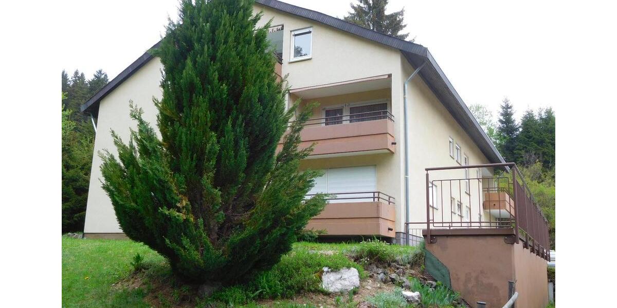 Etagenwohnung Schönwald im Schwarzwald - 1.5 Zimmer, 33 m&sup2;, 450&euro; | Angebot:25346894