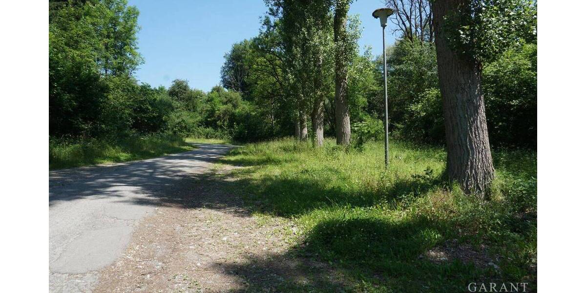 Mehrfamilienhaus, Wohnhaus Epfendorf Trichtingen - 1 Zimmer, 250 m&sup2;, 595.000&euro; | Angebot:25707656