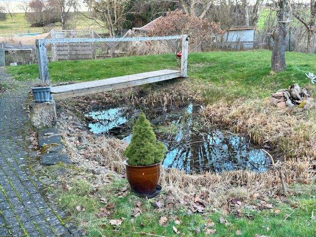 Einfamilienhaus Schramberg / Waldmössingen Waldmössingen - 5 Zimmer, 195 m&sup2;, 575.000&euro; | Angebot:25742608