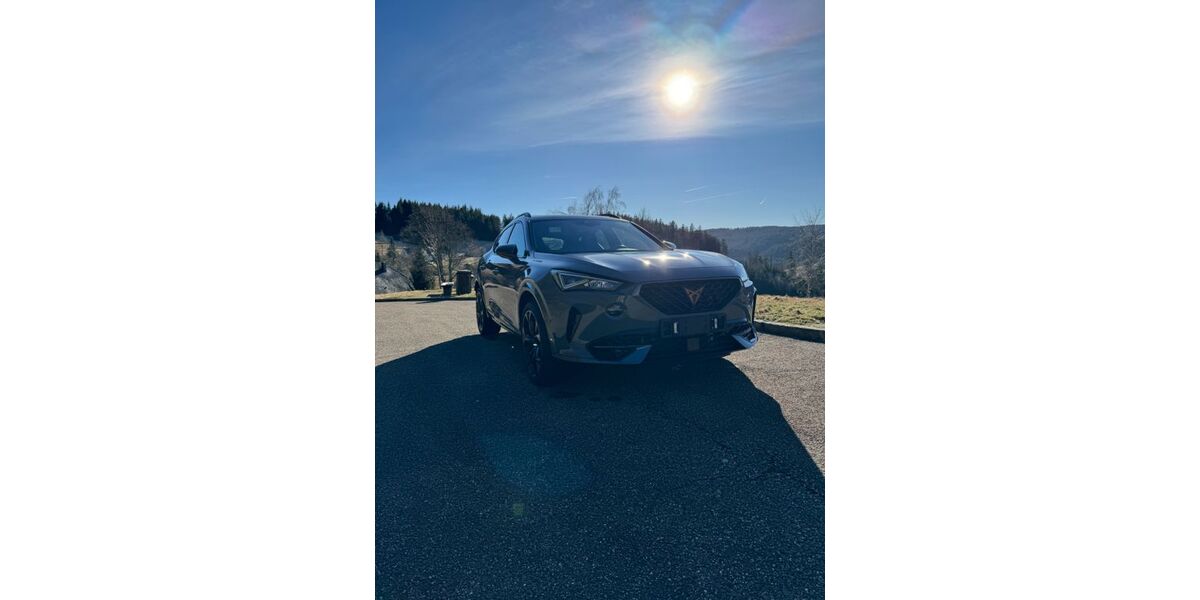 Cupra Formentor 80.000 km 28.400 &euro; Triberg 78098