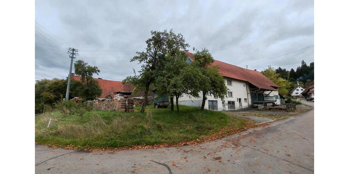 Bauernhaus, Landhaus Dietingen - 120.000&euro; | Angebot:23559184