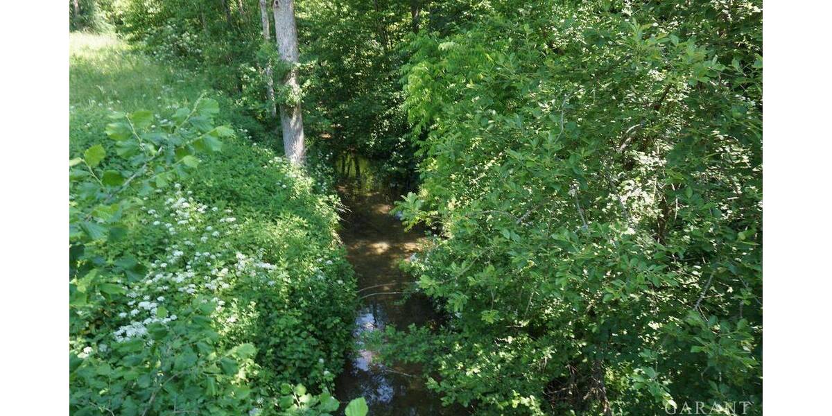 Mehrfamilienhaus, Wohnhaus Epfendorf Trichtingen - 1 Zimmer, 250 m&sup2;, 595.000&euro; | Angebot:25707656