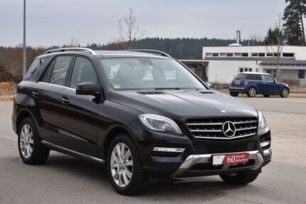 Mercedes-Benz ML 350 157.000 km 25.900 &euro; Schramberg 78713