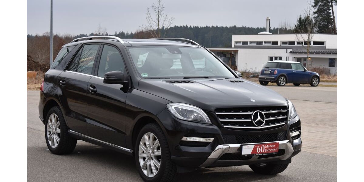 Mercedes-Benz ML 350 157.000 km 25.900 &euro; Schramberg 78713