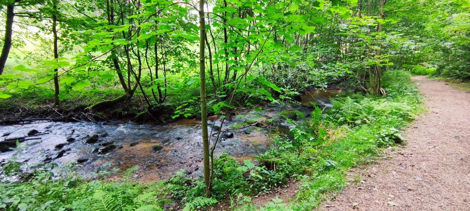 Einfamilienhaus Lauterbach - 3 Zimmer, 150 m&sup2;, 1.000&euro; | Angebot:20970242