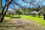 Reserviert - Einfamilienhaus mit Traumgrundstück direkt am Neckar in Rottweil-Bühlingen - Einfamilienhaus Rottweil-Bühlingen Bühlingen | Angebot:27070327