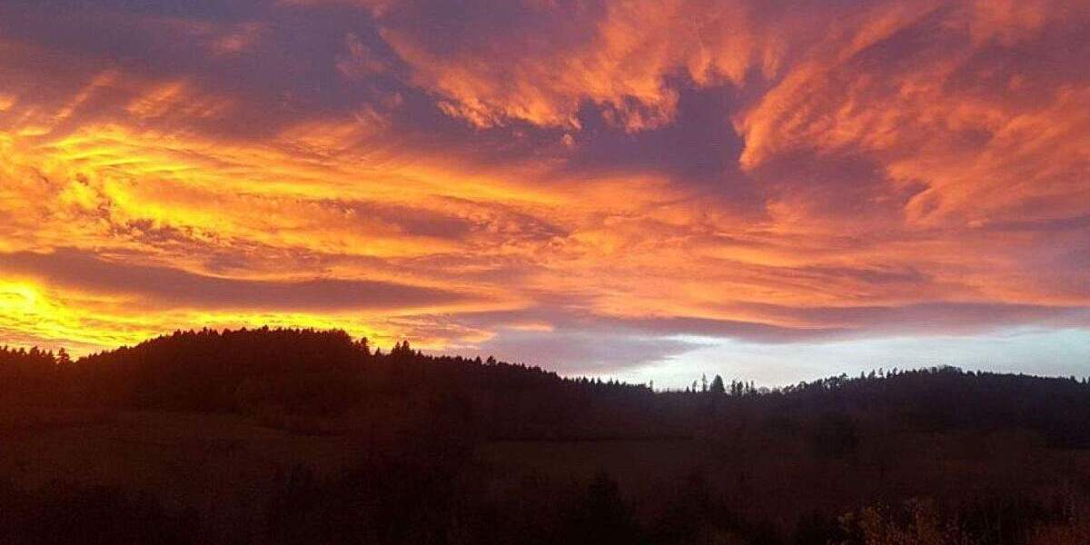 Mehrfamilienhaus, Wohnhaus Bonndorf Brunnadern - 1 Zimmer, 225 m&sup2;, 890.000&euro; | Angebot:25776222