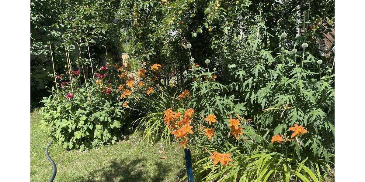 Einfamilienhaus Hornberg Stadtgebiet - 7 Zimmer, 200 m&sup2;, 599.000&euro; | Angebot:25736899