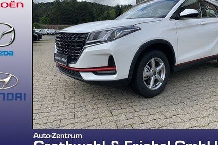 DFSK Fengon 18.886 km 13.990 &euro; Tuttlingen 78532