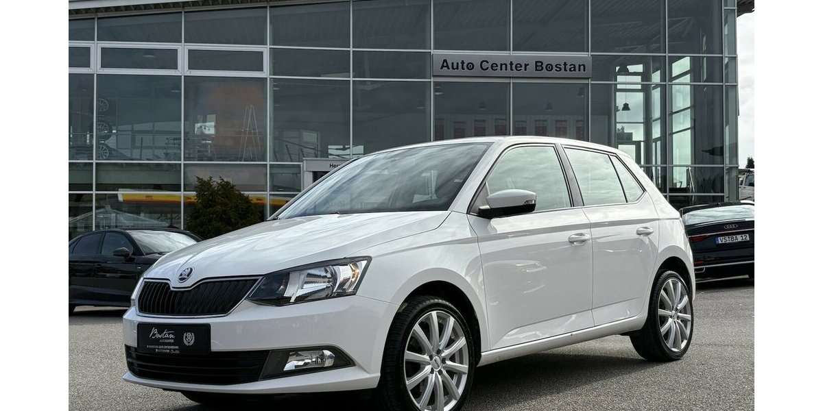 Skoda Fabia 1.2 TSI Ambition ANHÄNGERKUP./SITZHEIZUNG 111.546 km 8.900 &euro; Villingen-Schwenningen 78054