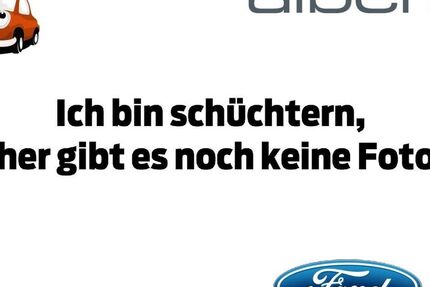 Ford EcoSport 29.500 km 14.933 &euro; Hüfingen 78183