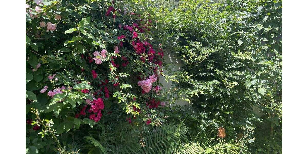 Einfamilienhaus Hornberg Stadtgebiet - 7 Zimmer, 200 m&sup2;, 599.000&euro; | Angebot:25736899