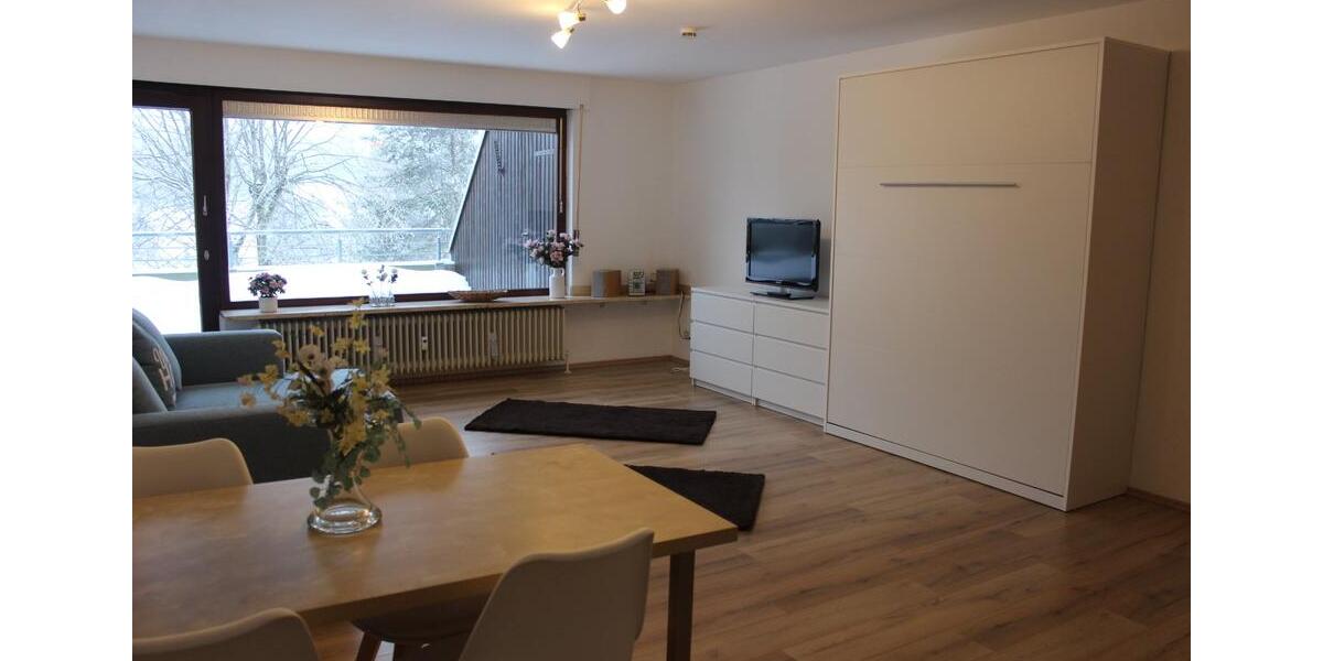 Terrassenwohnung Schonach Im Schwarzwald - 1 Zimmer, 56 m&sup2;, 650&euro; | Angebot:25870569